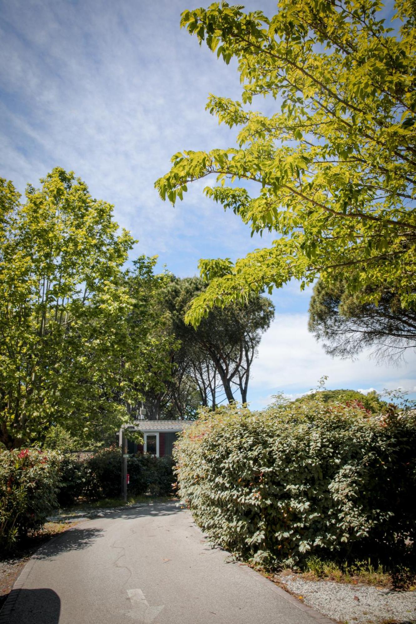 Domaine De Verdagne 4*